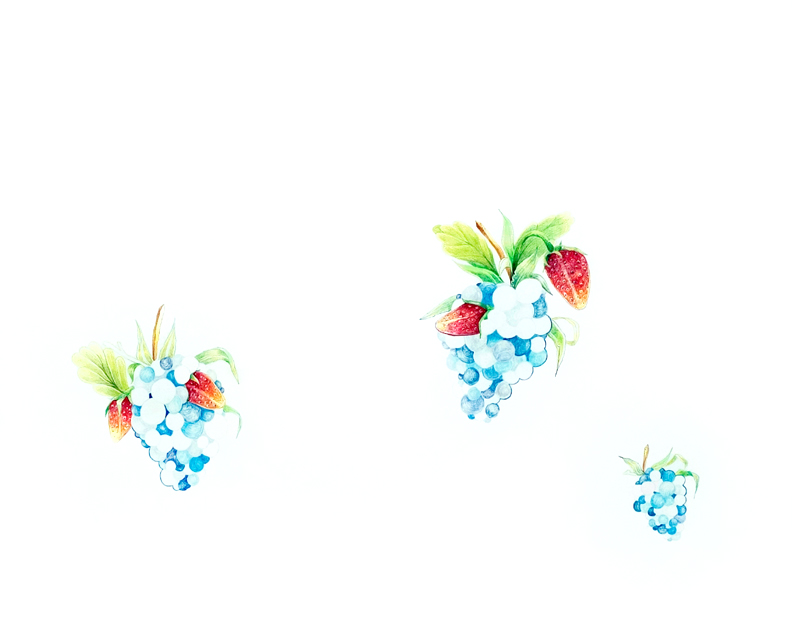 Illuminated Berries - 3, 2004, color pencil on paper, 19 x 24 inches