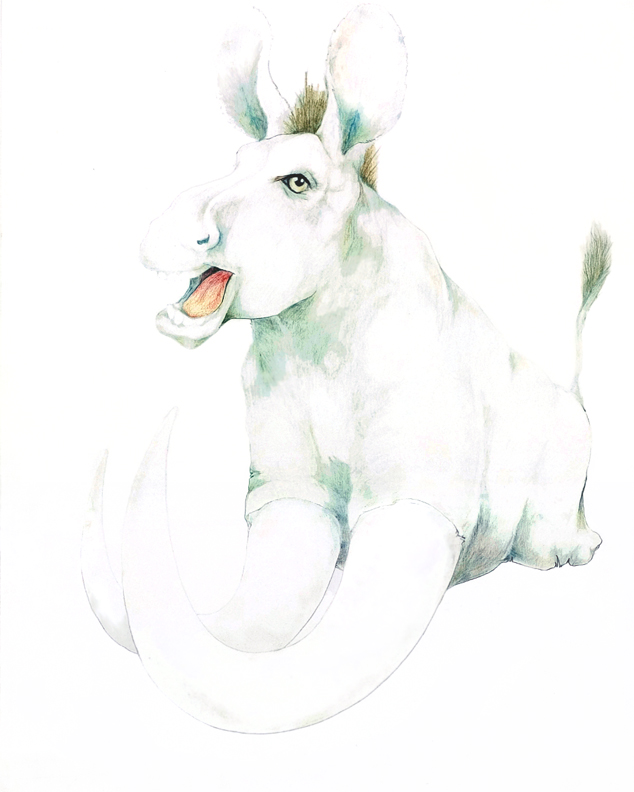 Elephant, 2005, color pencil on paper, 24 x 19 inches