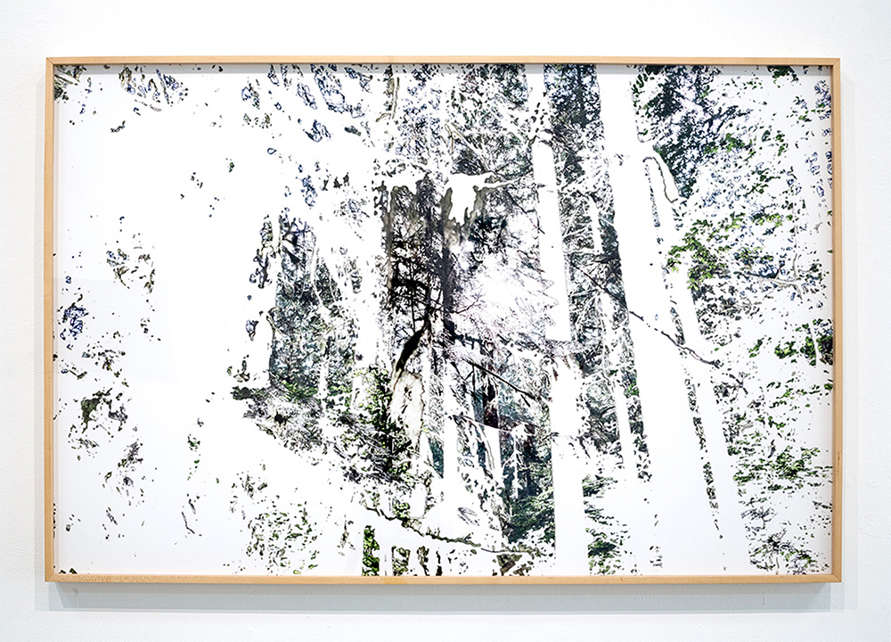 Monica Furmanski, Artifact, 2024, Photography