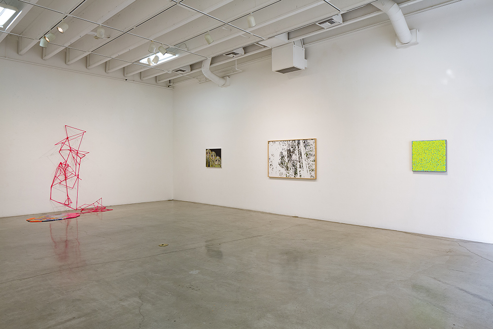 Installation view