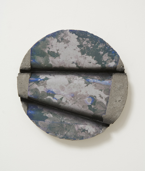 Letha Wilson. Black Foliage, 2012. Concrete, c-print transfer, paint, 12 x 12 x 12