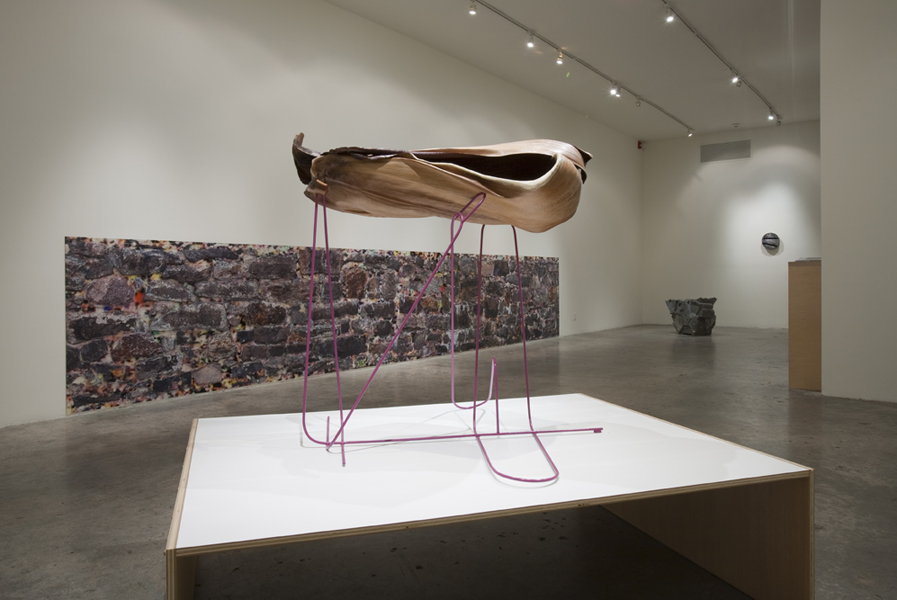 NeoNatural, Installation view, Steve Turner Contemporary, November 2012
