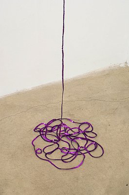 Tony Feher, The New Arabesque, 2006