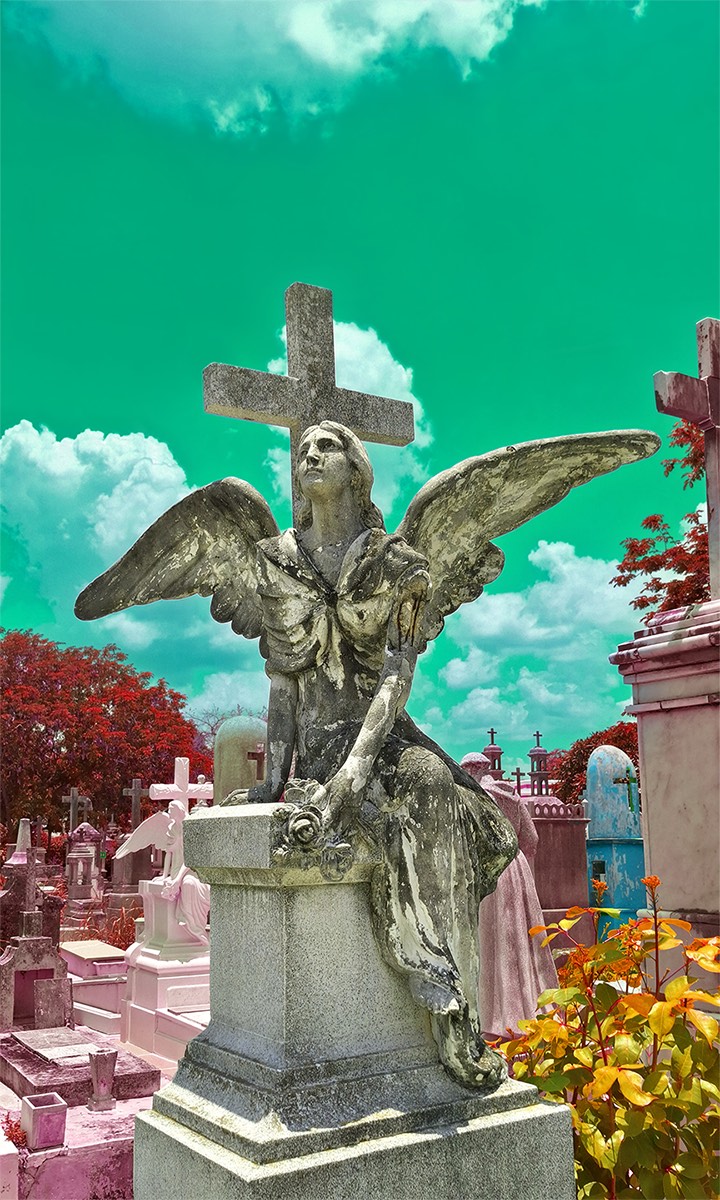 Apocalypse Angel, 2026
